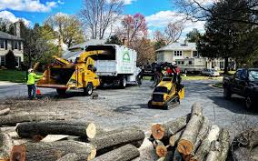 Reliable Unadilla, GA Tree Services Solutions